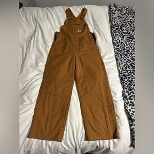 Brand new Carhartt insulated overall coveralls